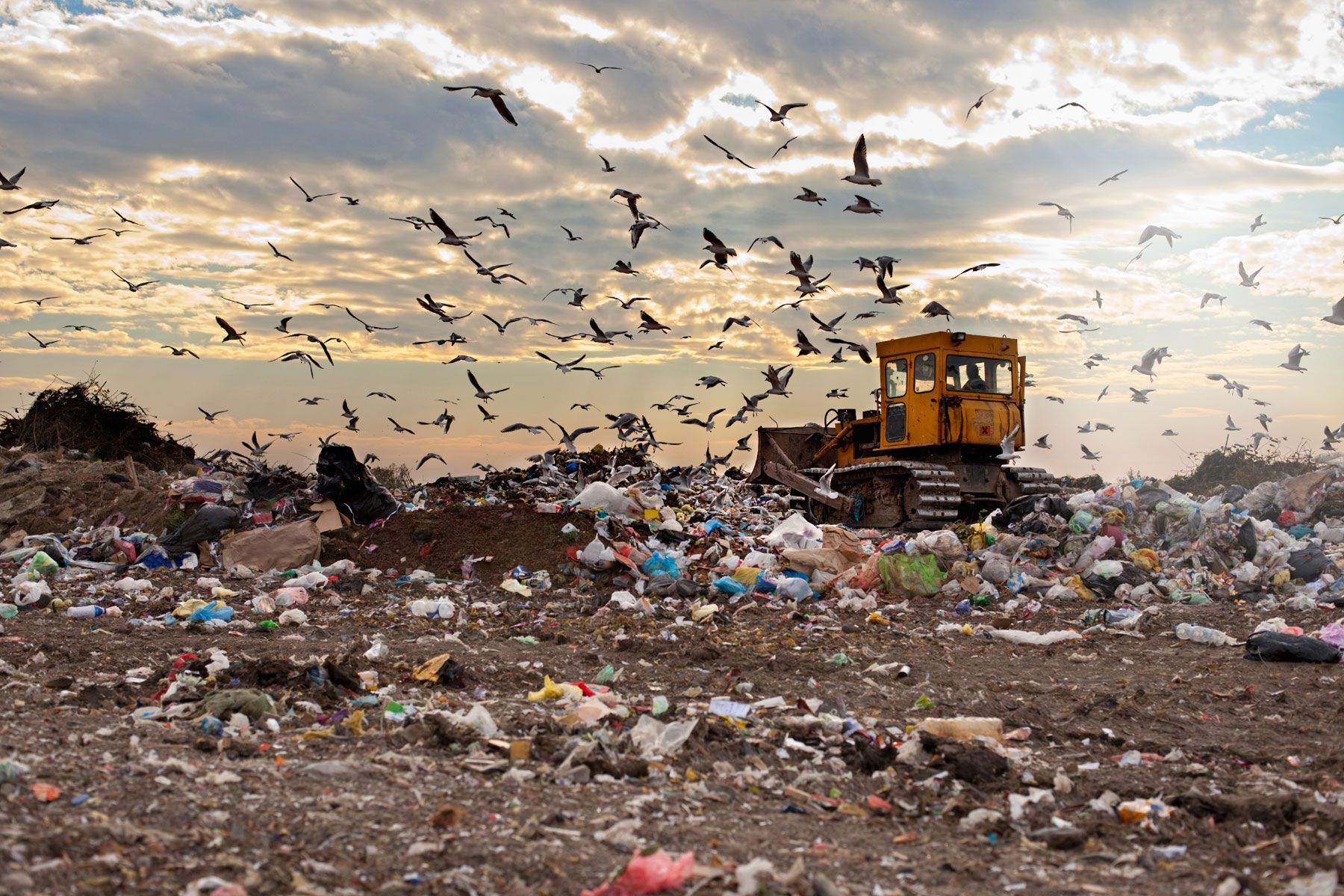 Landfill with waste, machinery and birds flying