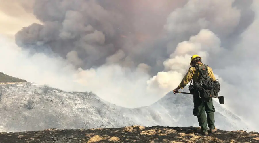 Wildland fire sensor, a solution to a problem without borders