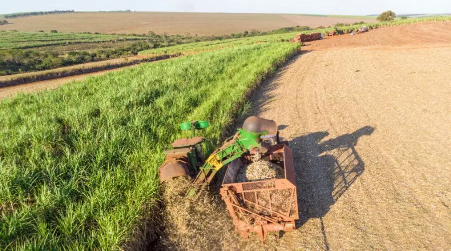 Maquinaria trabajando en una plantación de caña de azúcar