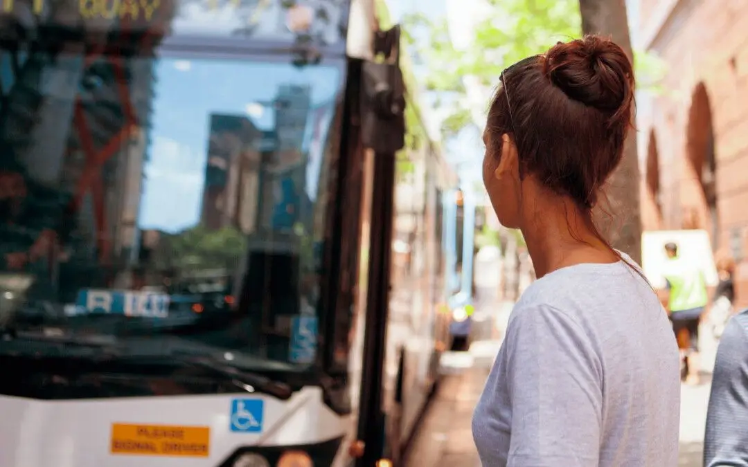 Air pollution from transport: causes, effects and solutions