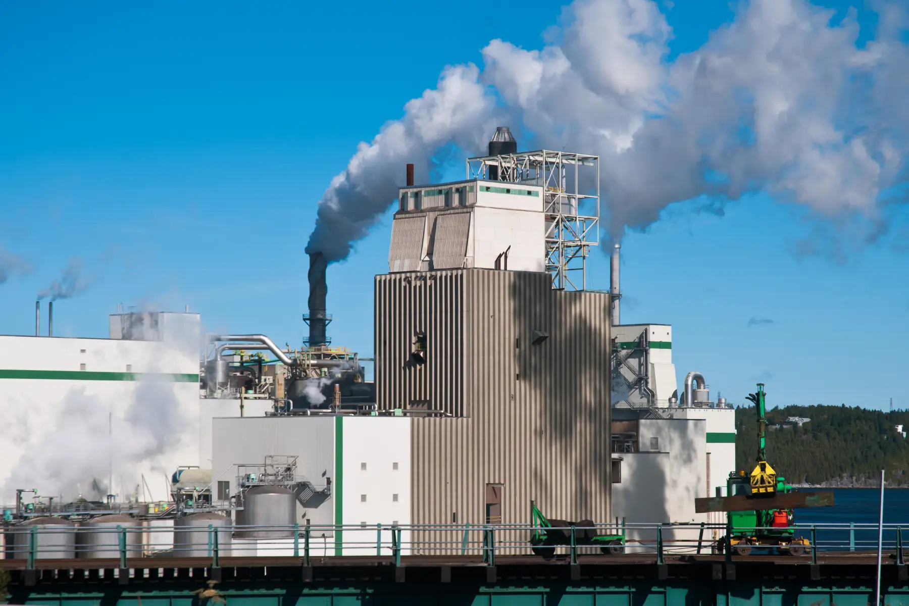Impacto ambiental de la industria papelera - Kunak