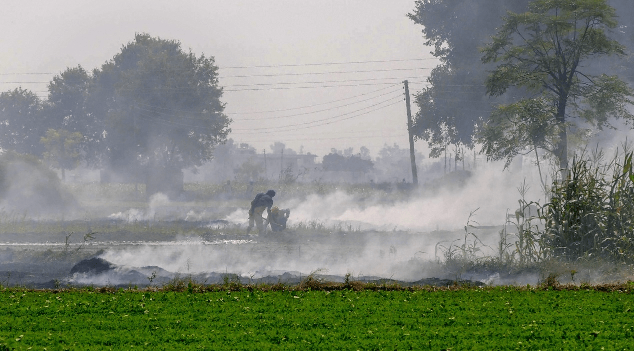 Agricultores en campos de cultivo-kunak