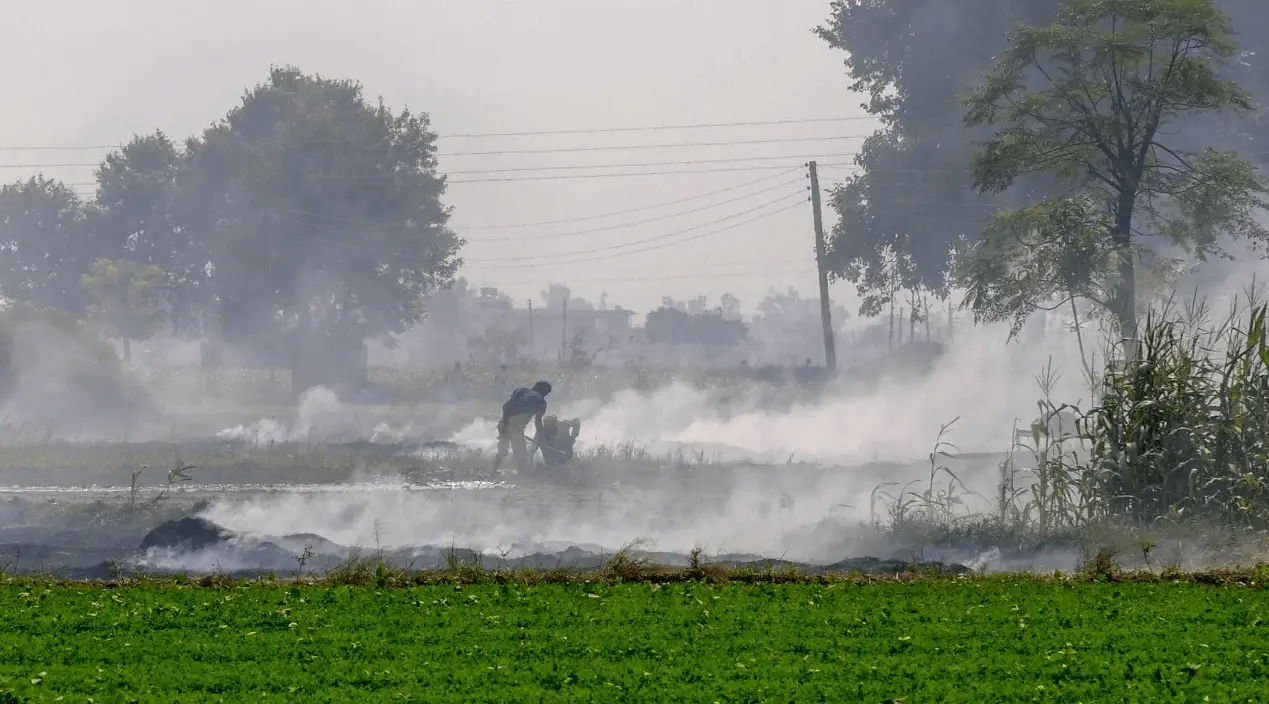 Agricultores en campos de cultivo-kunak