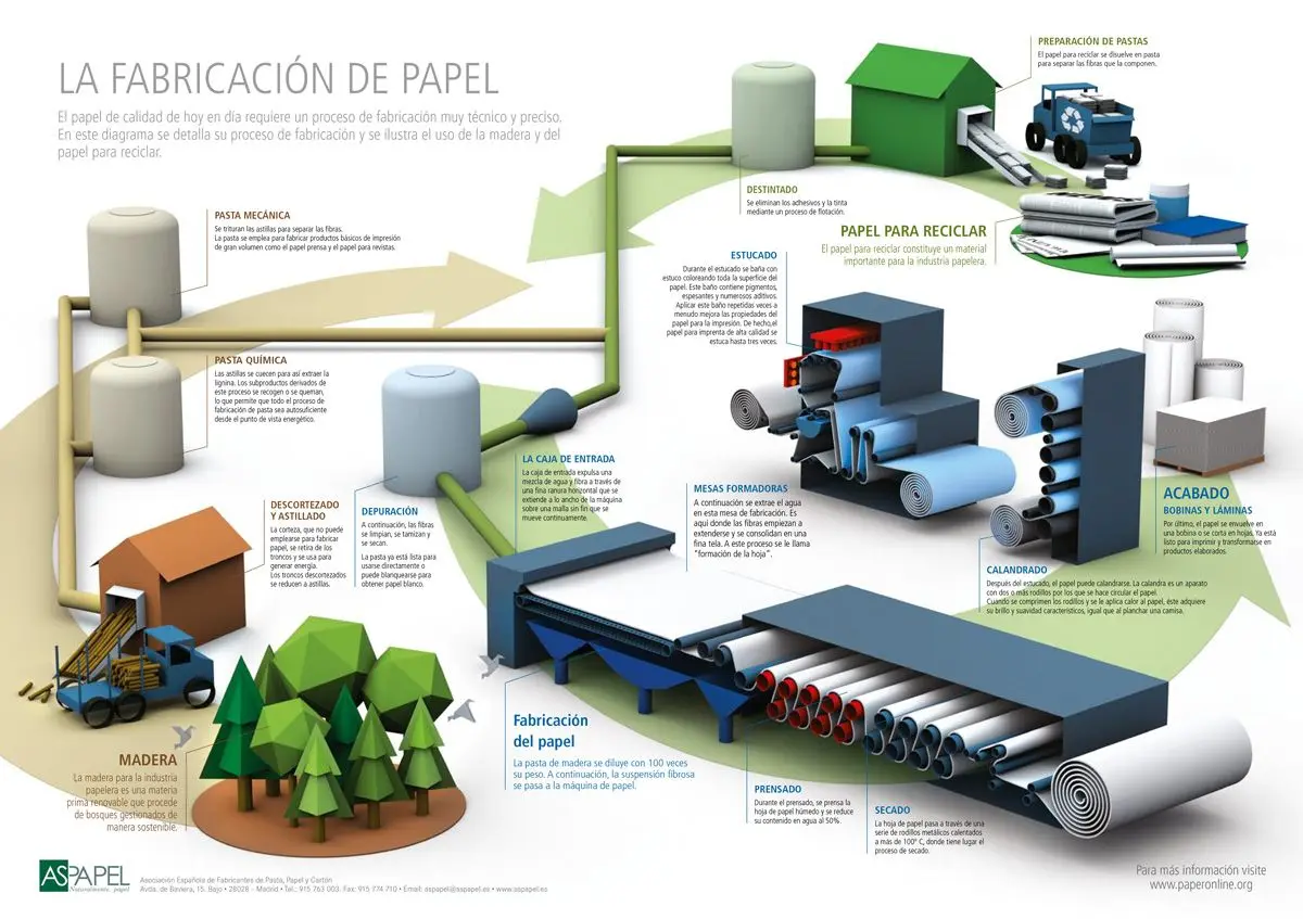 Proceso de fabricación del papel