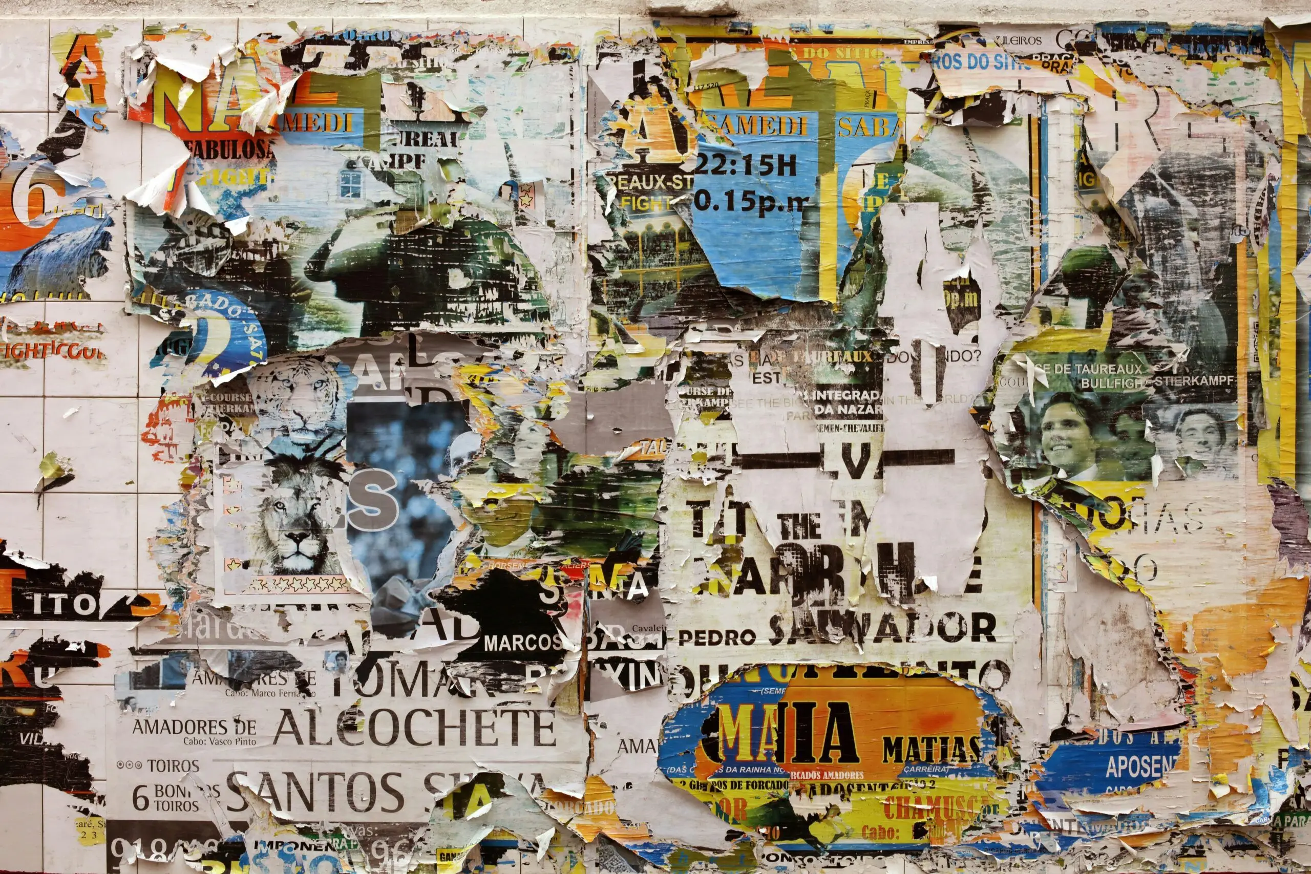 Impacto ambiental de la industria papelera - Kunak