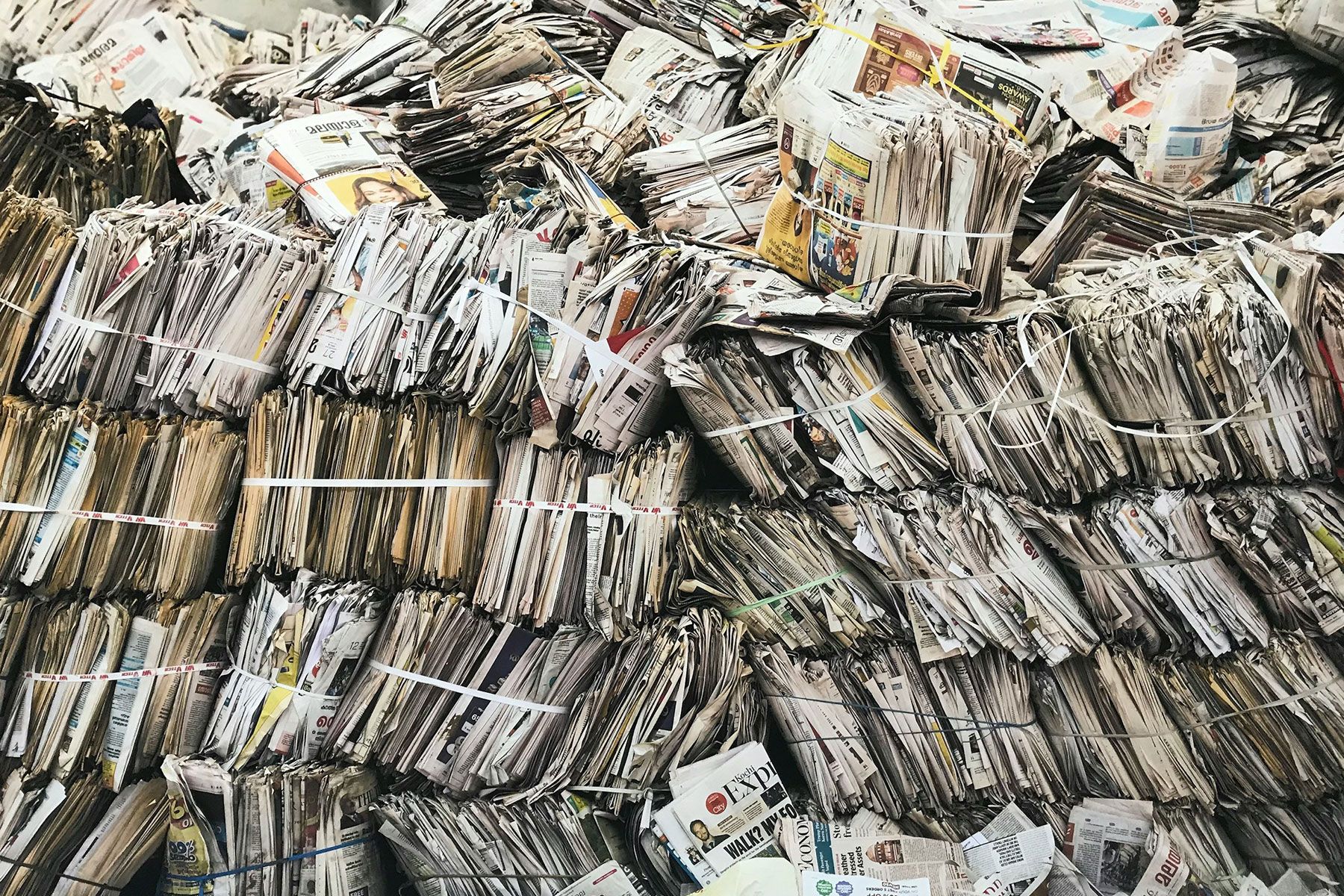 Impacto ambiental de la industria papelera - Kunak