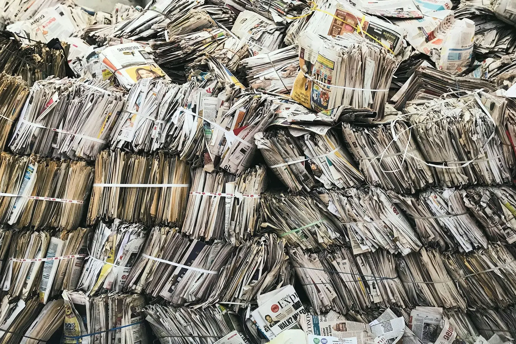 Impacto ambiental de la industria papelera - Kunak
