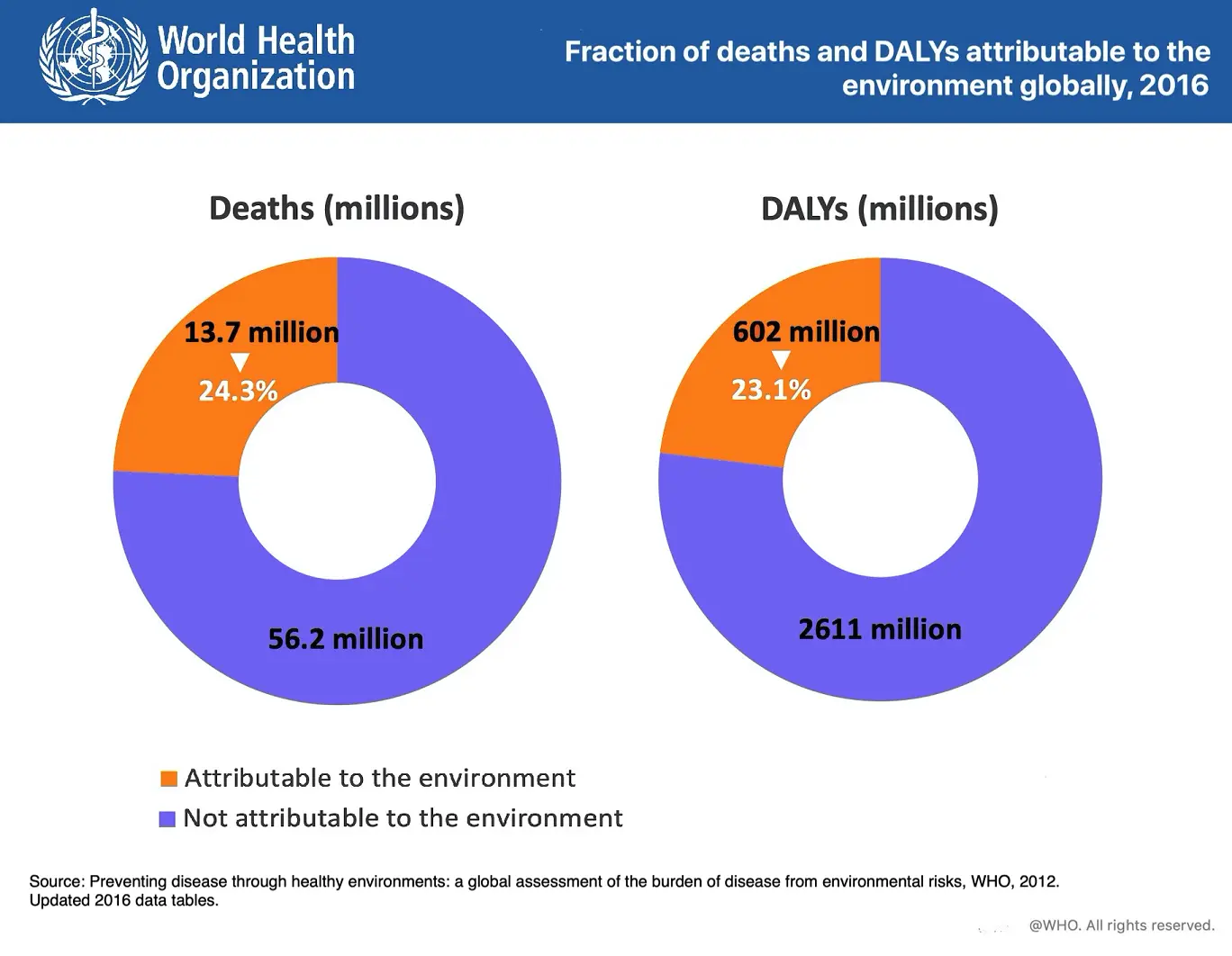 Fraction of deaths and DALYs attributable to the environment globally - Kunak