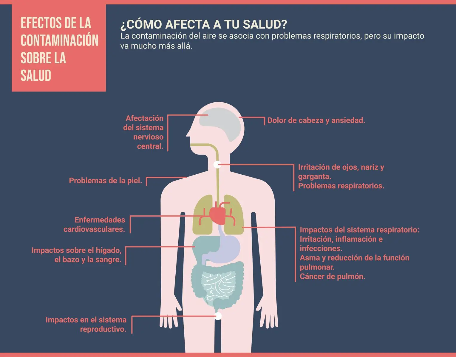 Efectos de la contaminación del aire en la salud - Kunak