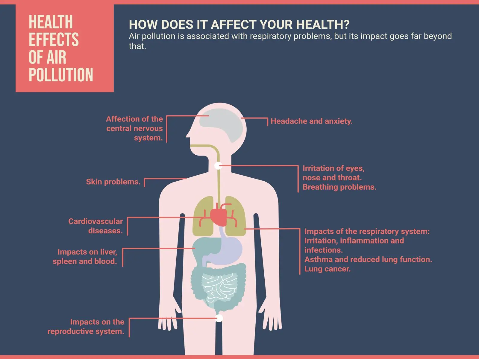 Health effects of air pollution - Kunak