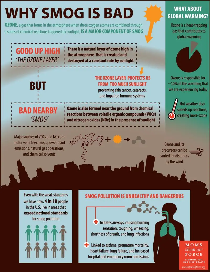 Why is smog sob bad infographic - Source: Moms Clean Air Force - Kunak