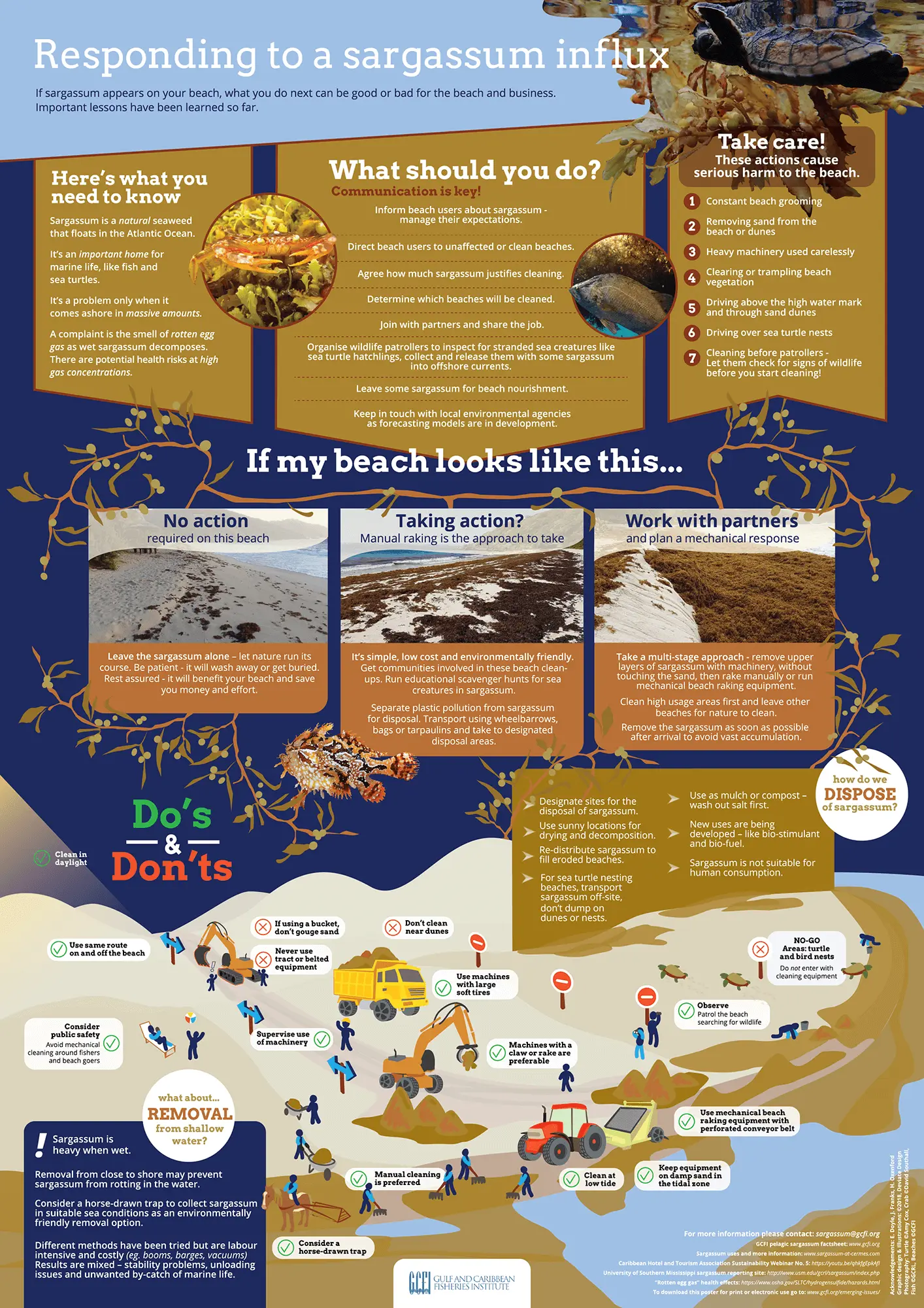 How to deal with the arrival of sargassum on the coastline - Gulf and Caribbean Fisheries Institute - Kunak
