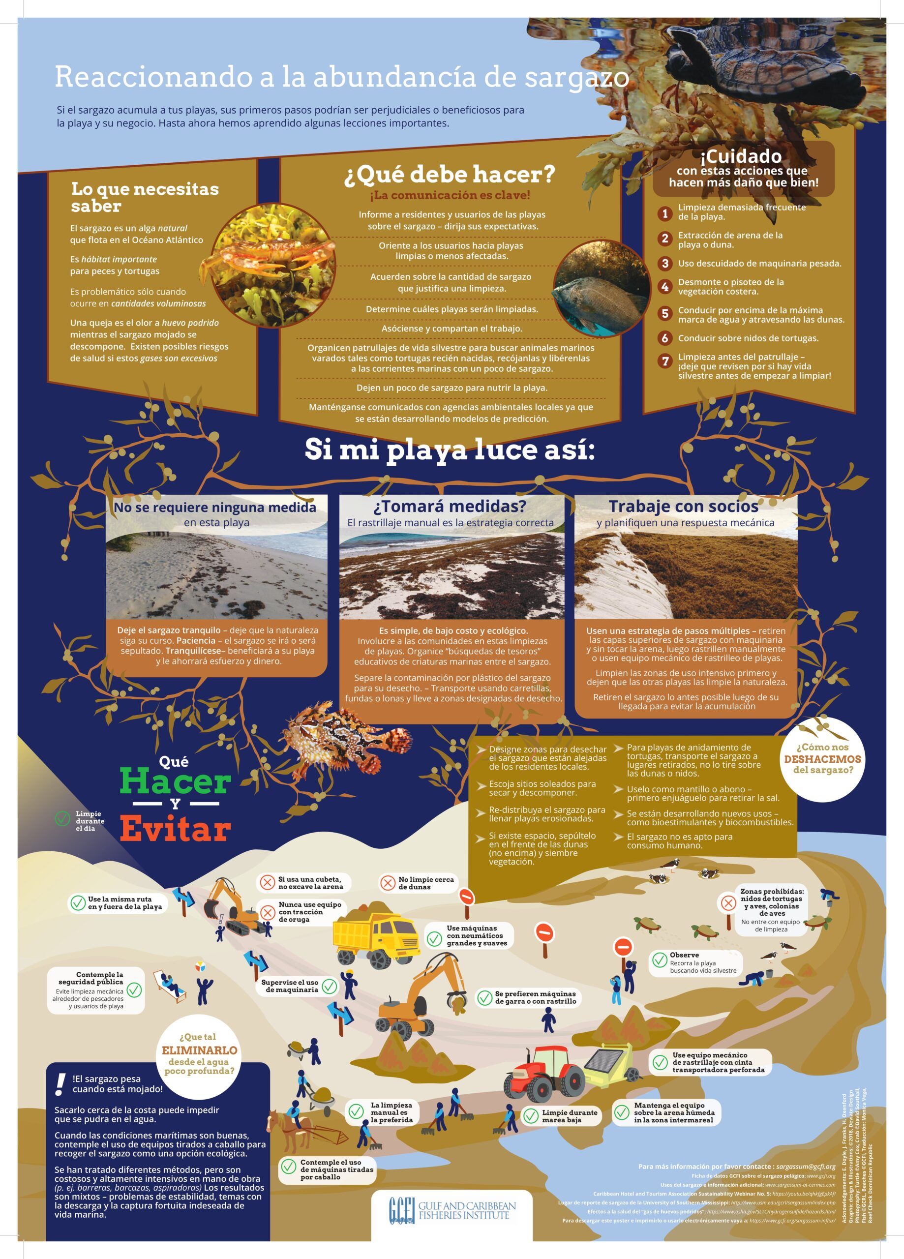 Cómo actuar ante la llegada de sargazo al litoral - Gulf and Caribbean Fisheries Institute - Kunak