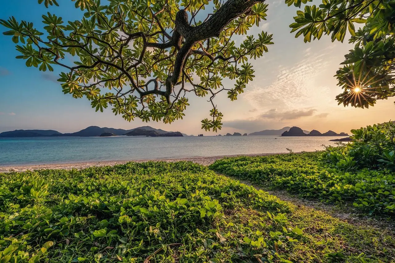 Native vegetation on the island's coast_Kunak