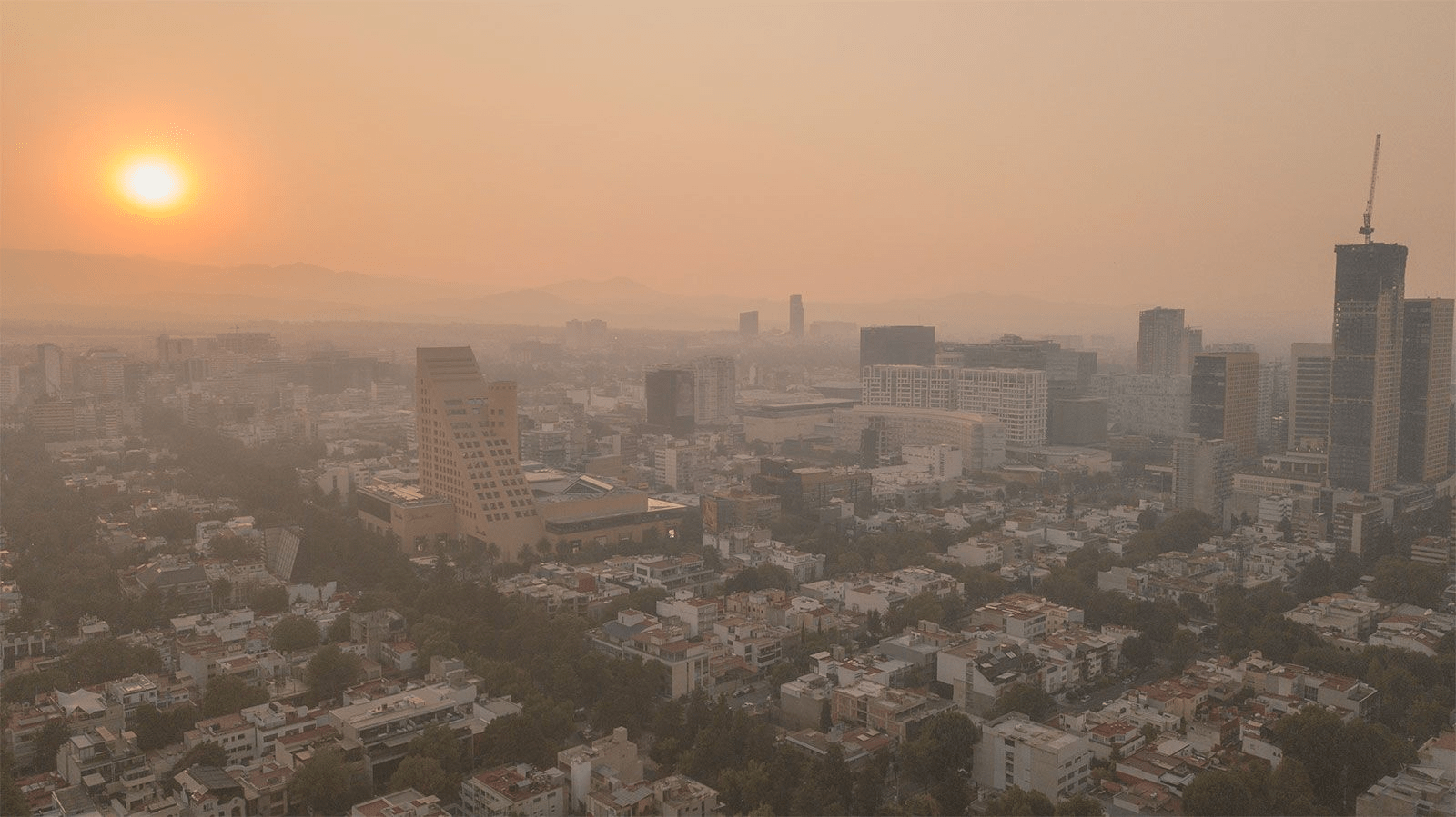NO is evident for its ability to reduce visibility. It is responsible for the characteristic brown haze over large cities on calm days. - Kunak