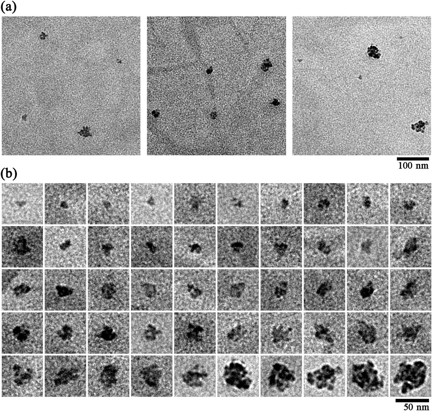 Analyse par microscopie électronique à transmission de particules ultrafines (UFP). - Kunak