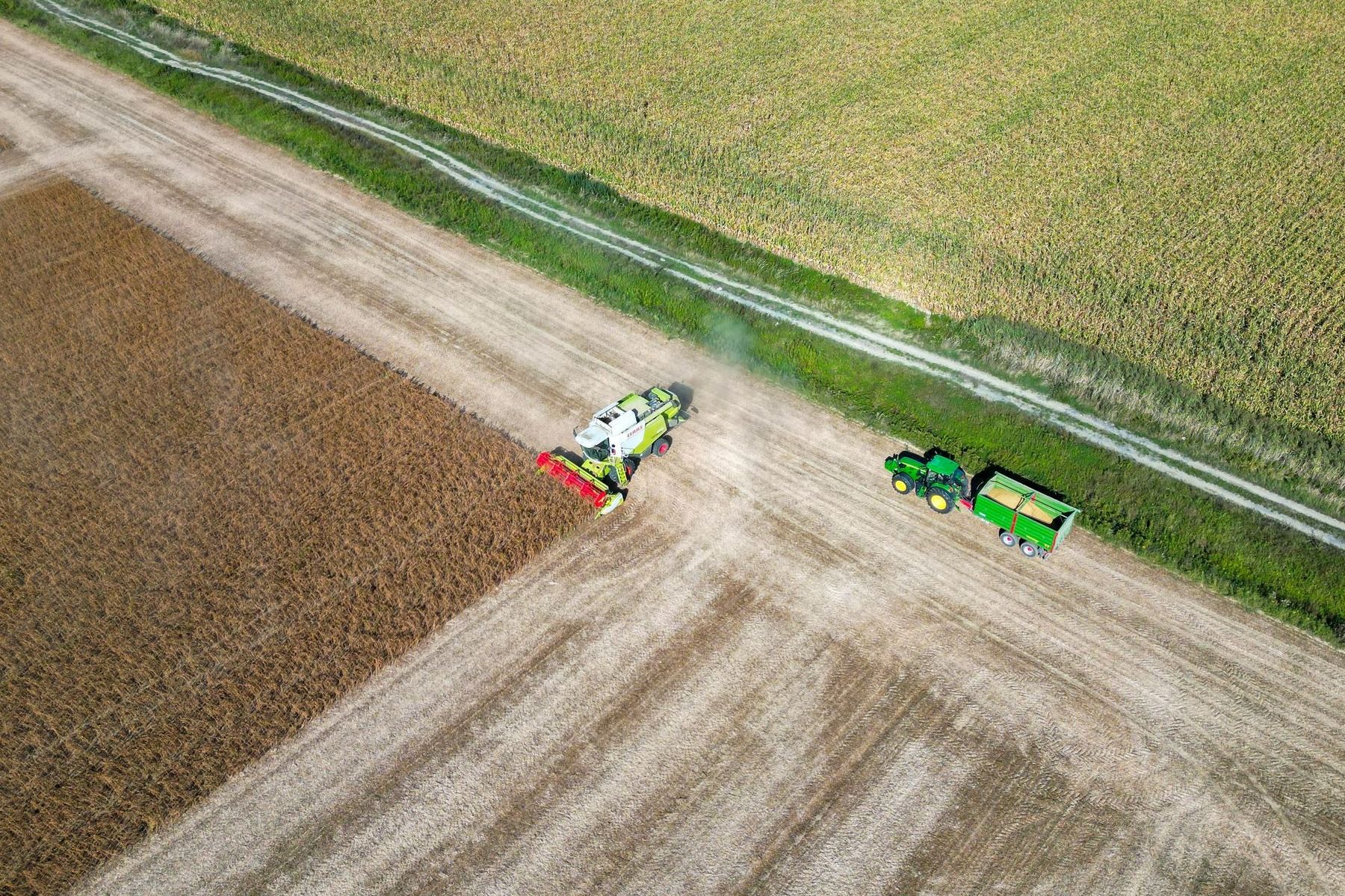 Globalmente, el conjunto de agricultura, silvicultura y otros usos del suelo (AFOLU, por sus siglas en inglés) representa alrededor de una quinta parte de las emisiones netas antropogénicas de GEI. - Kunak