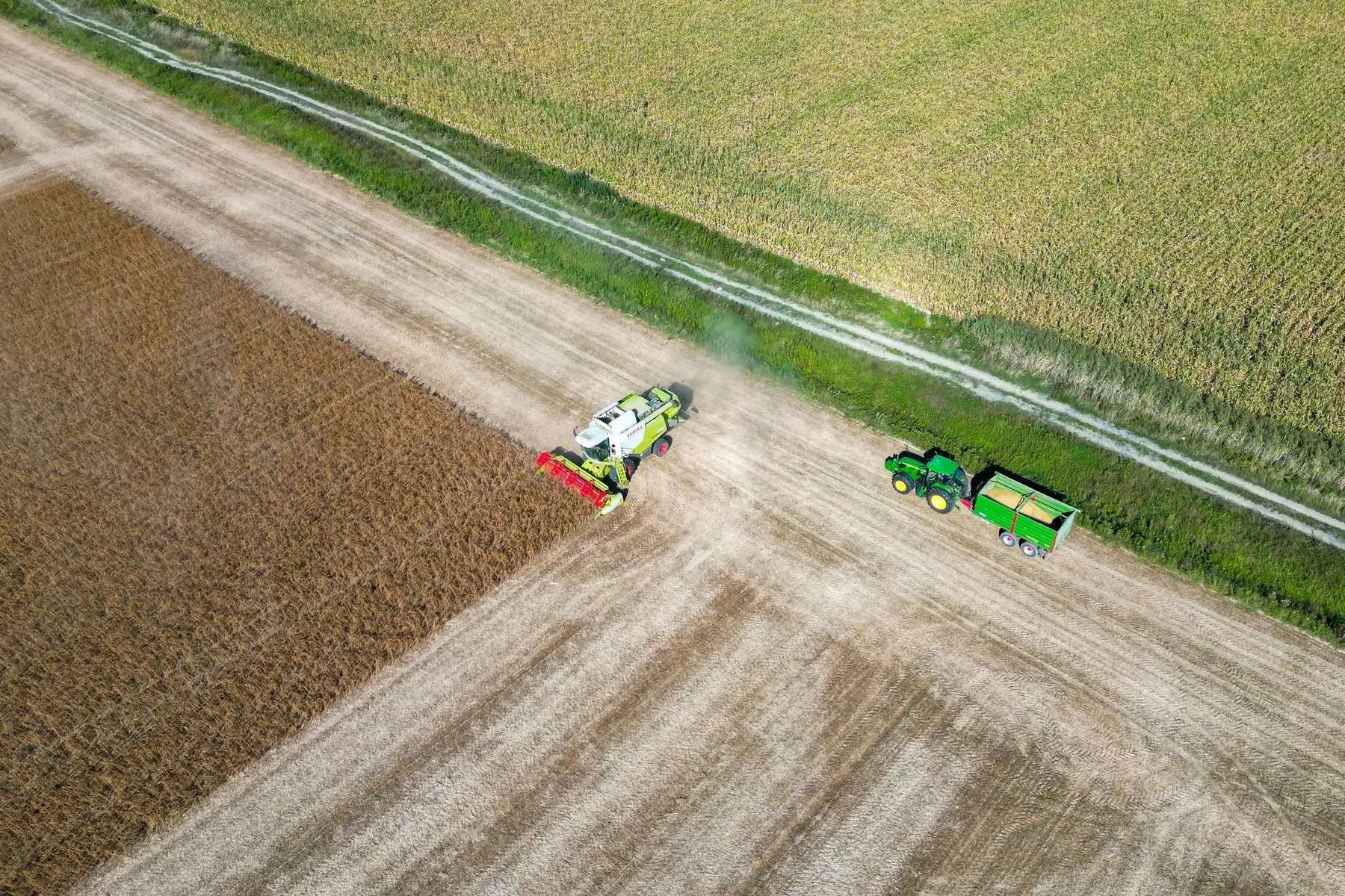 Globally, agriculture, forestry and other land use (AFOLU) account for around one-fifth of net anthropogenic greenhouse gas emissions. - Kunak